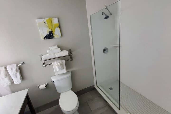 Bathroom shower