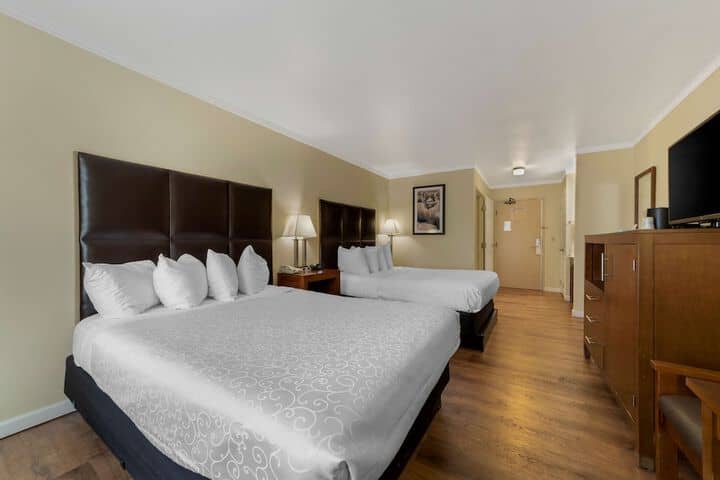 Room 12 of 38