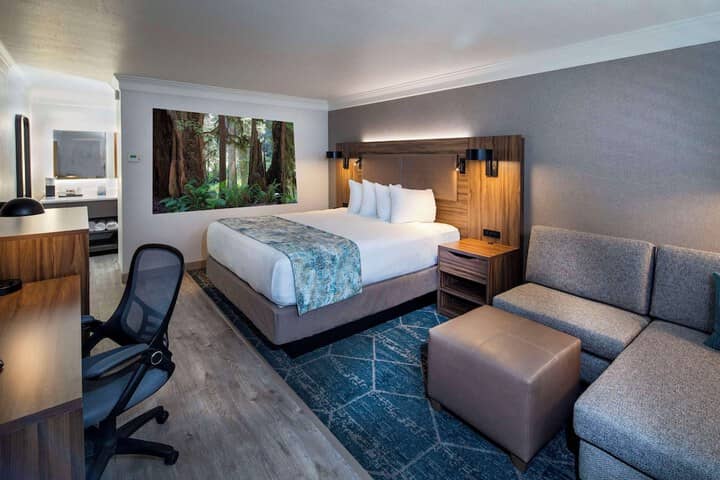 Room 20 of 46